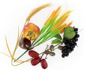 Picture of Shivat Haminim Hanging Sukkah Decorations